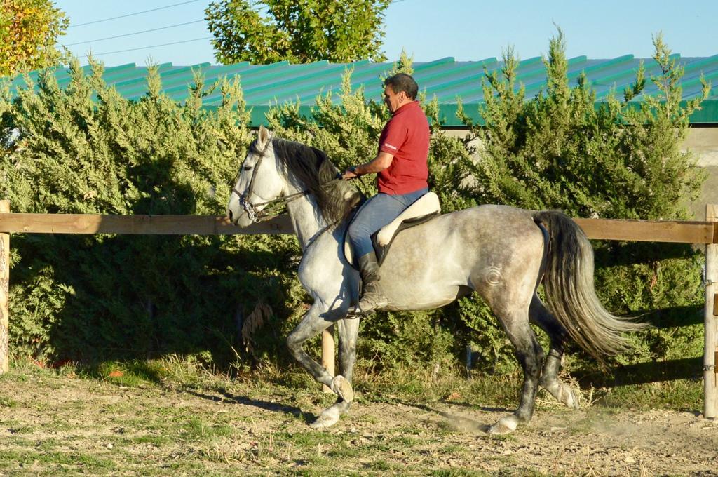 Rural Reillo Alojamientos Rurales المظهر الخارجي الصورة